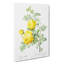 Yellow Roses by Pierre-Joseph Redoute - Wrapped Canvas-55320151