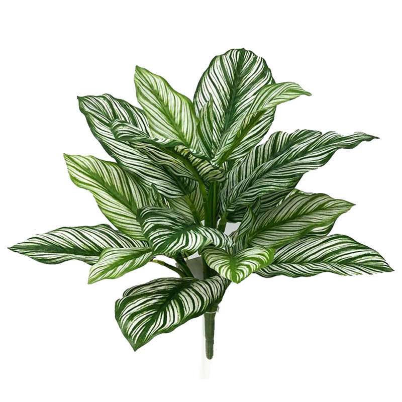 Ensemble de 2 branches artificielles Calathea Whitestar