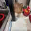 Customer photo 2 of 2