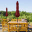Traditional Parasol-2075855765