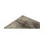 Area Rug in Gray