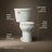 Cimarron 1.28 GPF Water Efficient Round Two-Piece toilet (Seat Not Included)-57909344-101379253