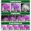 Maker Network Grow Light