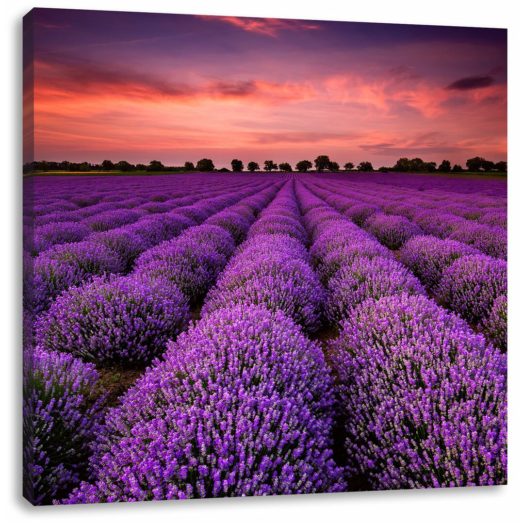 Leinwandbild Wunderschöne Lavendel Provence