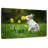 Brampt Bunny And Flowers-108869442