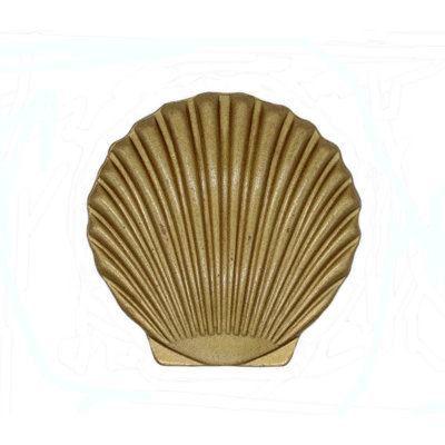 Oversized 1 3/4" Length Seashell Knob