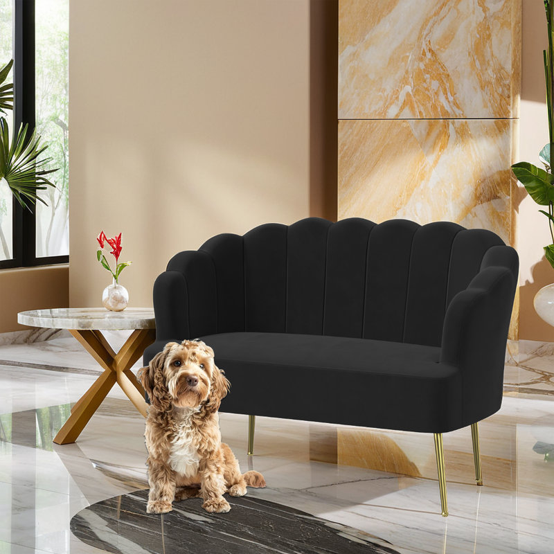 High-end Velvet 2-Seater Loveseat Couch, Black