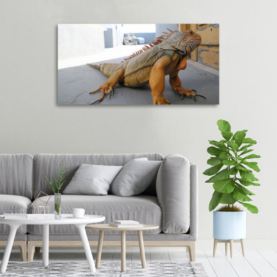 Iguana - No Frame Print on Canvas