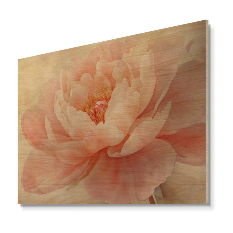 Fleur de pivoine douce II - art mural en bois botanique, H 18 po x l 24 po, Rectangulaire