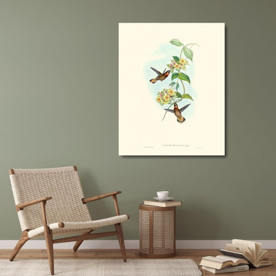 Lark Manor™ Gould, John Gallery Wrapped Canvas Art Titled: Hummingbird Delight II