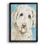 Labradoodle I, reproduction d'art encadrée-263641347-263641345