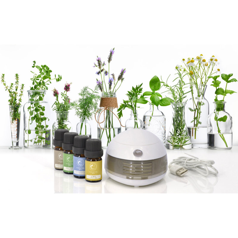 Ensemble de diffuseur d'huile pour aromathérapie Steeves