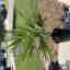 Customer photo 2 of 2