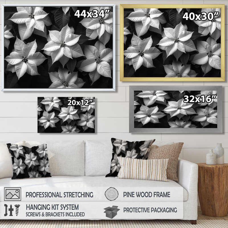 Beauté botanique monochrome poinsettias - Décoration murale poinsettias, Toile encadrée noire simple