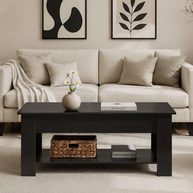 Table basse Ajeem, H 19,5 po x L 47,5 po x l 23,5 po, Noir, noir, noir, noir