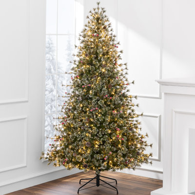 Lighted Pine Christmas Tree