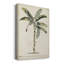 Banana Palm II - impression sur toile tendue-1287669595