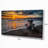 " Log On Beach During Sunset "-1729721663