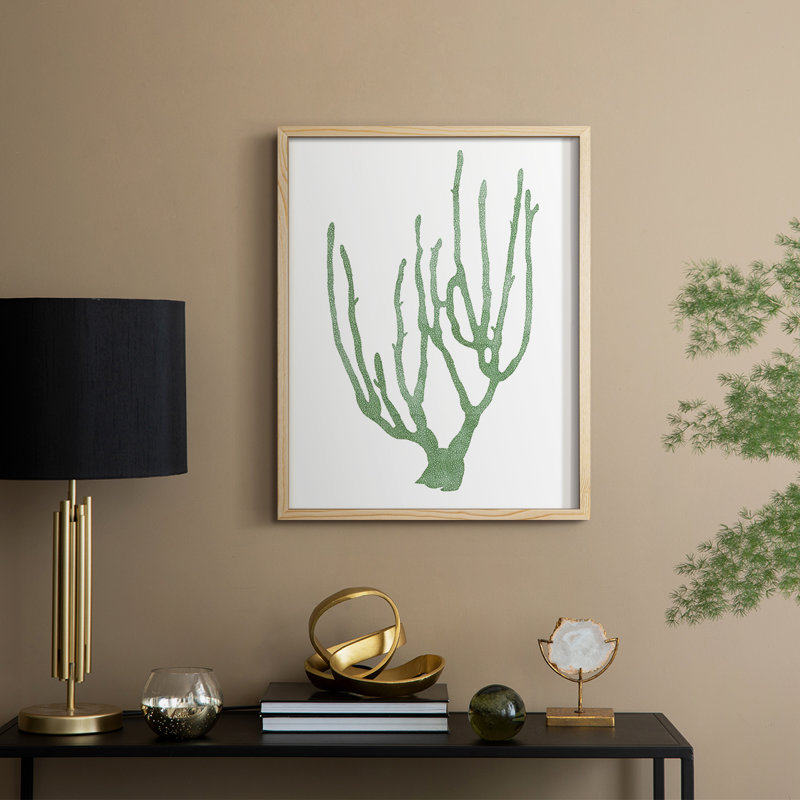 Coral Souvenirs II Framed Print - Solid Wood, 21" H x 17" W