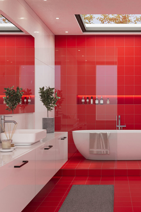 BOLD COLORS
