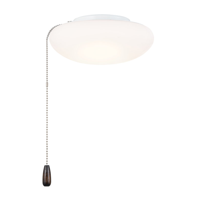 Ventilateur de plafond à DEL 1 lumière