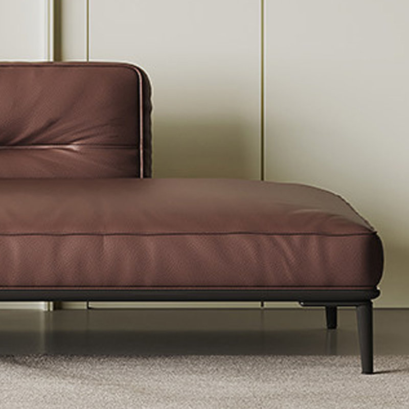 Aquilina, Dark Brown