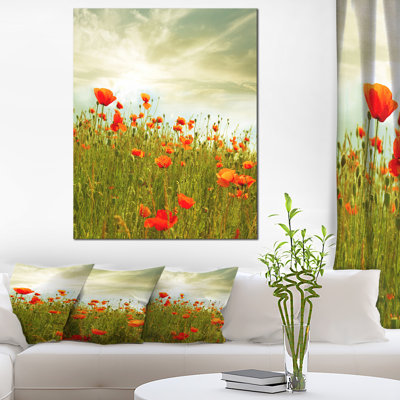 Floral, coquelicot rouge, toile d'art sur fond - Coquelicot
