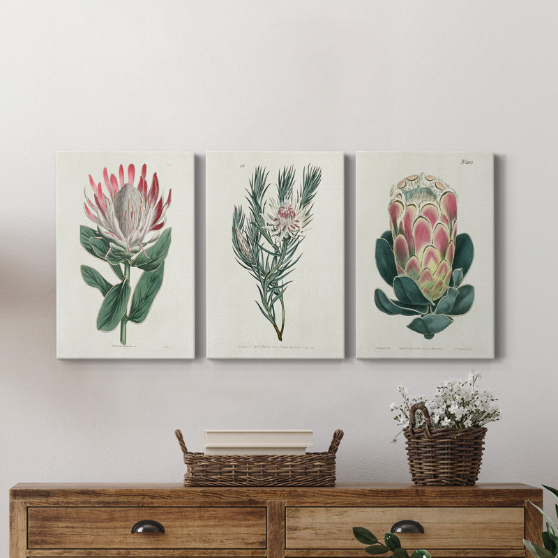Protea N14 - Premium - Ensemble de 3 reproductions d'art sur toile tendue, H 18 po x l 36 po x P 1 po