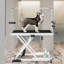 Table de toilettage électrique robuste pour animaux de compagnie - X-Lift réglable professionnel, supporte les grands animaux de compagnie jusqu'à 330 lb-122003229