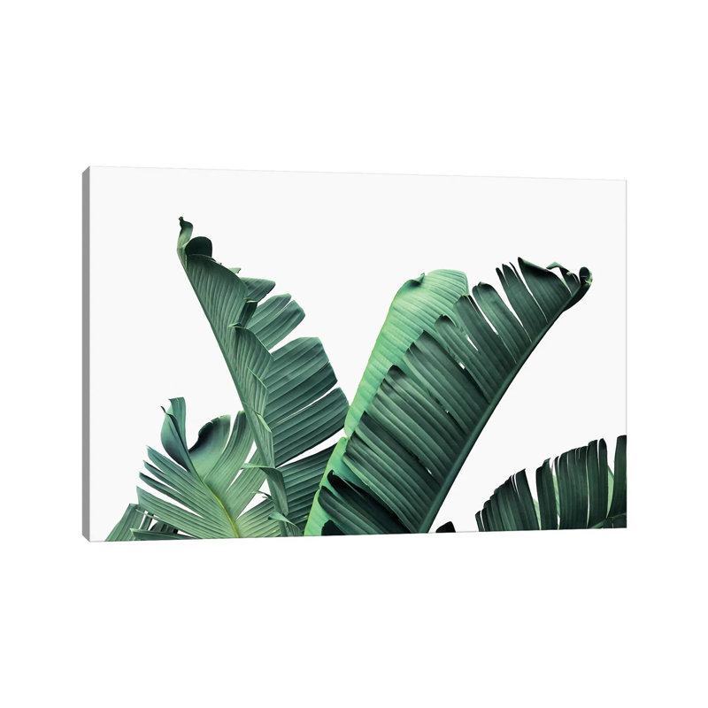 «Banana Leaves» par Sissi et Seb - impression d'art graphique, Toile tendue, Pas de tapis, H 18 po x l 26 po x P 1,5 po