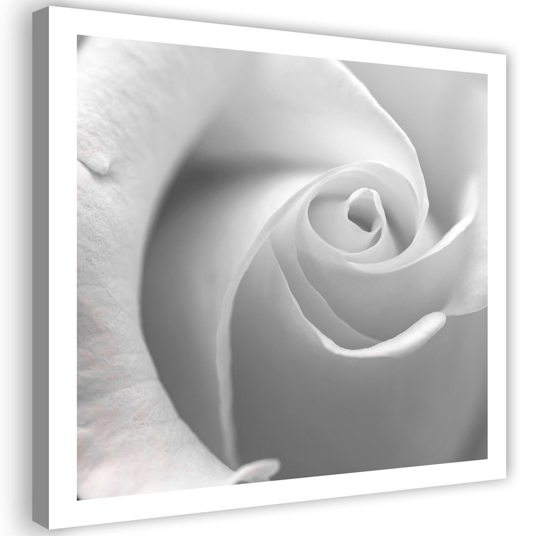 Leinwandbild White Rose Macro