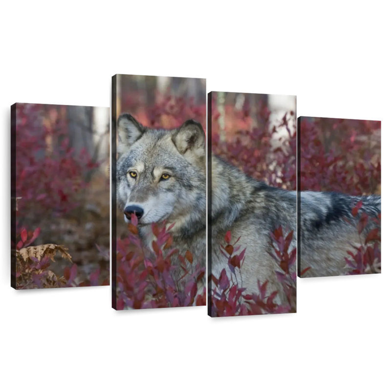 Brampt Gray Timber Wolf, 32" H x 52" W