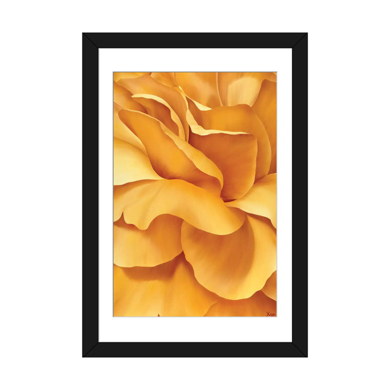 « magnifique fleur i », impression sur toile, Papier d'art encadré noir, Blanc, H 24 po x l 16 po x P 1 po