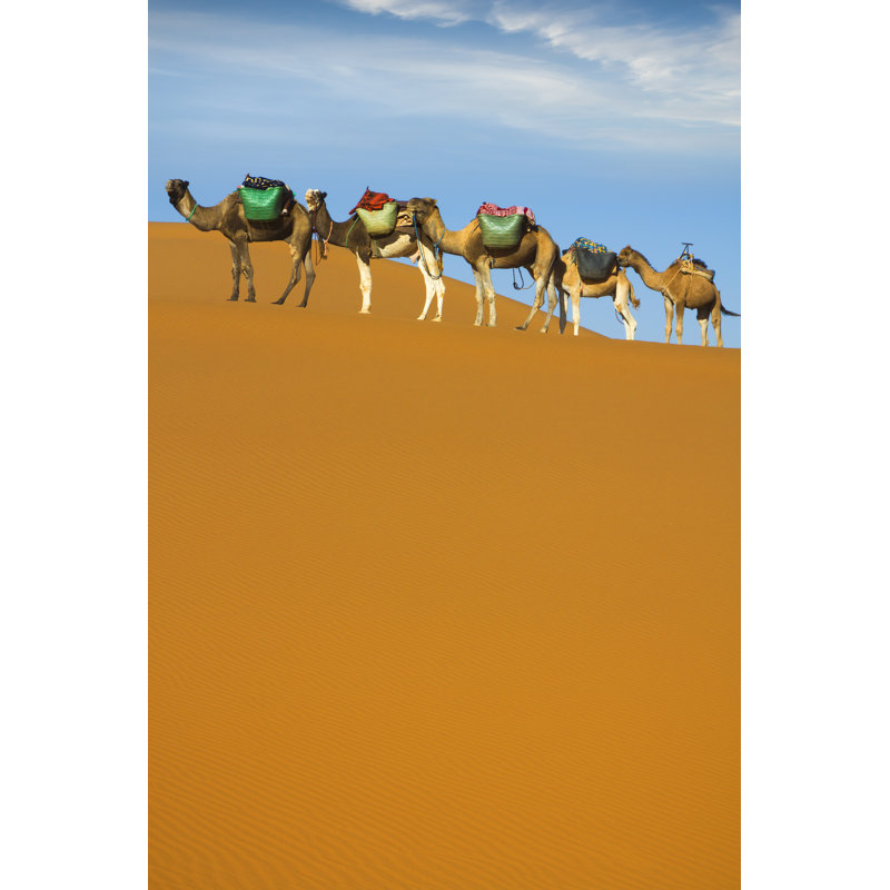 Desert Caravan - Wrapped Canvas Print, 122cm H x 81cm W x 3.8cm D