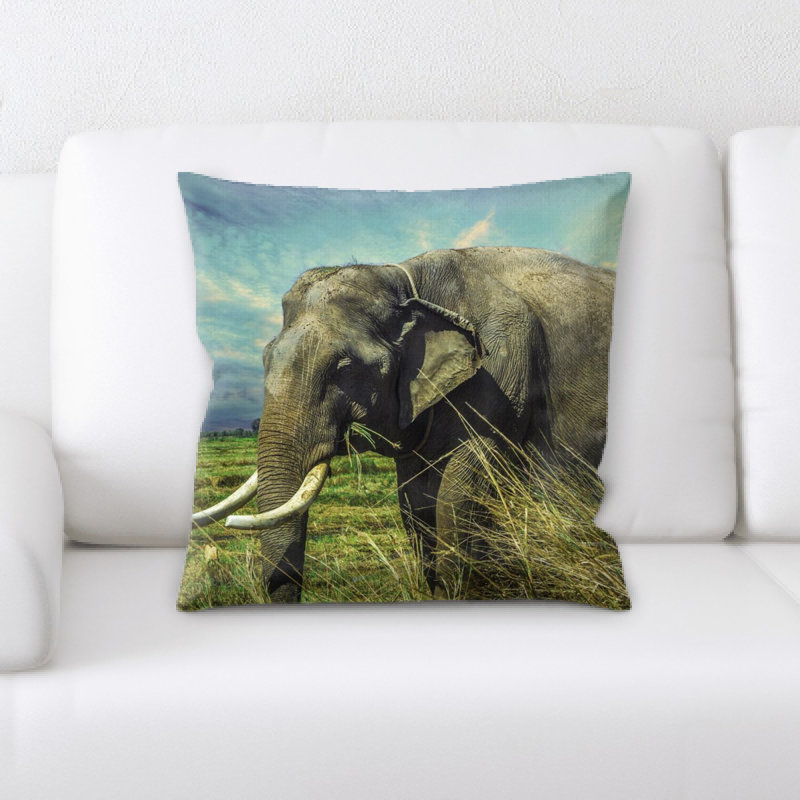 Coussin éléphant
