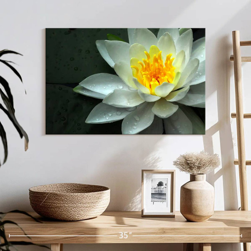 Harnek Dewy White Water Lily, 26" H x 39" W