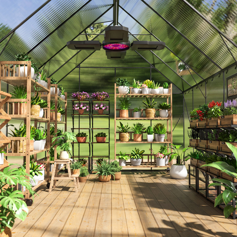 Serre de jardin 6 x 12 avec fenêtres d'aération réglables, porte verrouillable et solarium en métal avec indicateur de température, charnières de contrôle