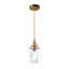 1 - Light Brass Pendant