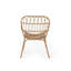 Chaise Harlem