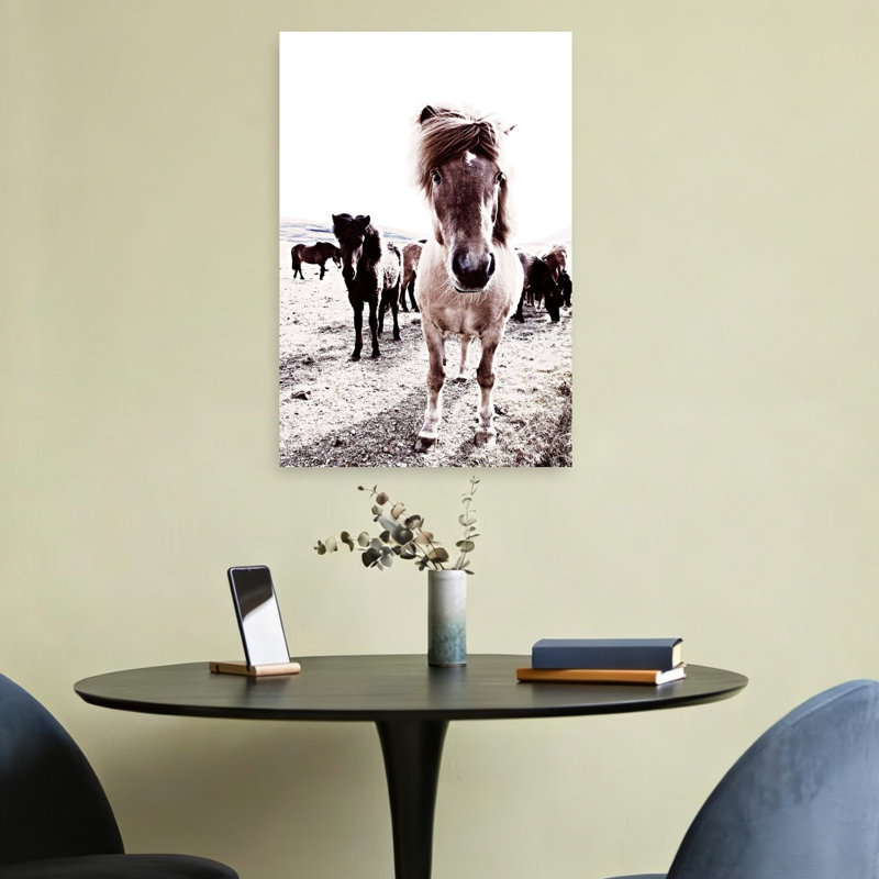 Islande, cheval, Rikka, art contemporain cheval