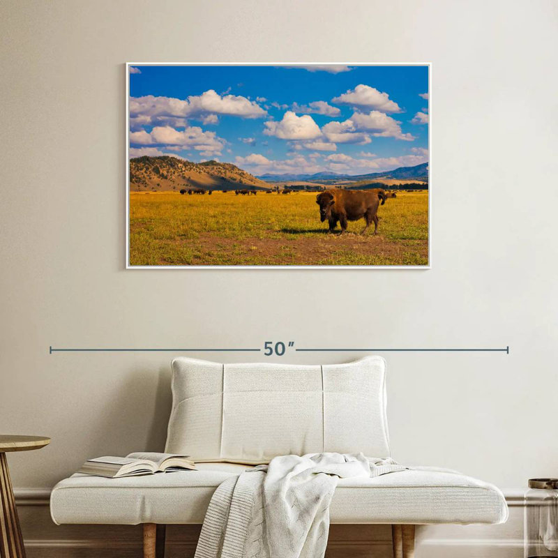 Bison dans le parc national, Cadre flottant blanc, 40 po x 27 po