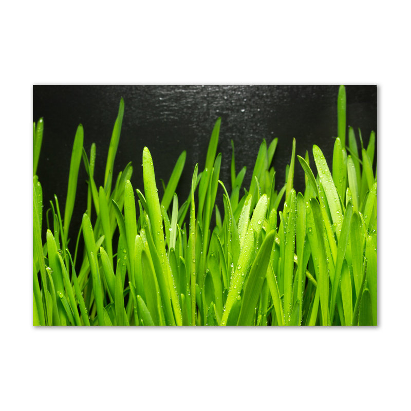 Grass 1 Piece Wrapped Canvas Wall Art