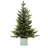30' Christmas Tree