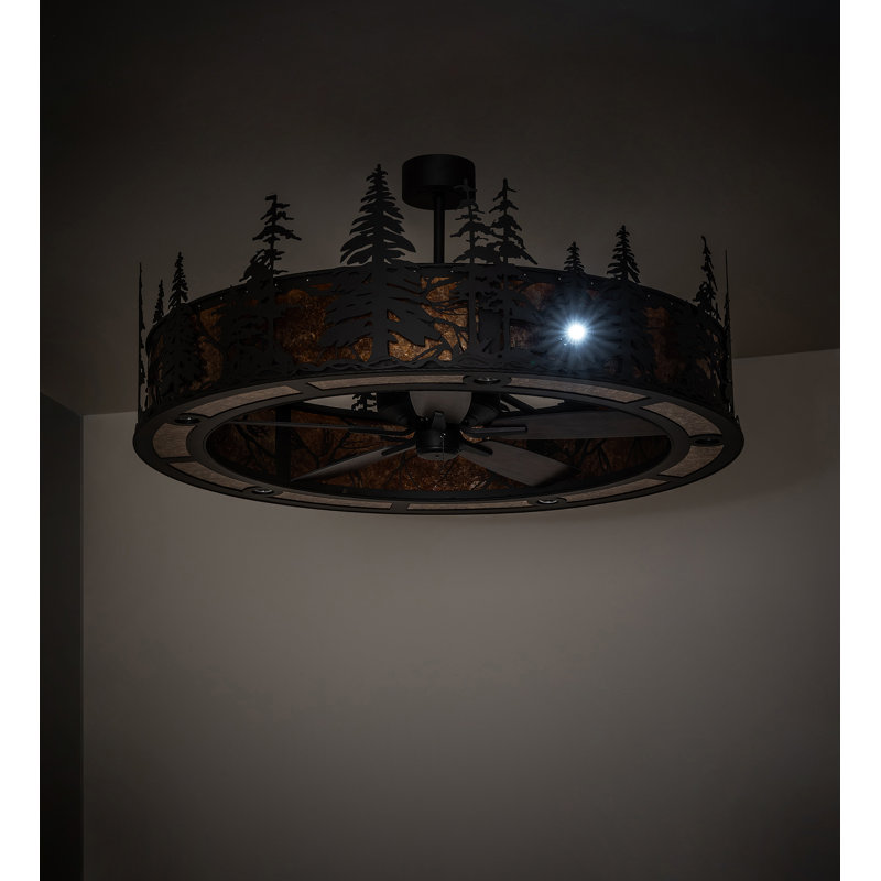 Ceiling Fan