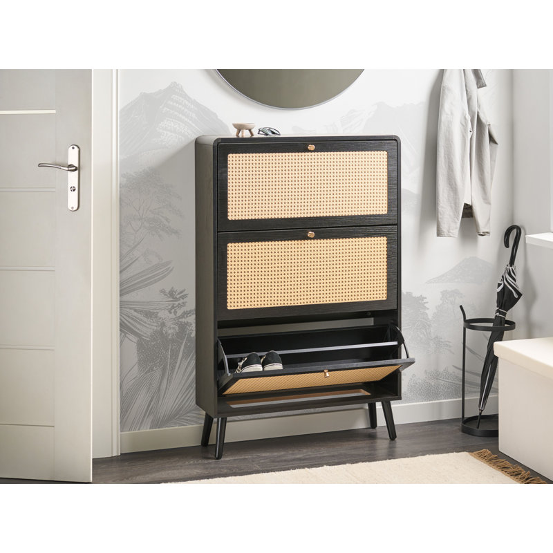 12 Pair Shoe Storage Cabinet