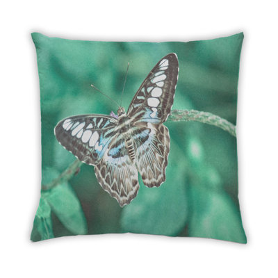 Coussin décoratif 4 insectes