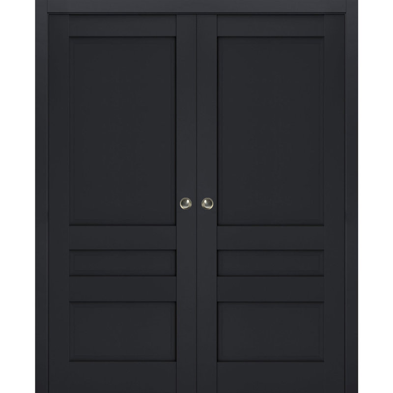 Portes coulissantes à panneaux Veregio, Antracite, 60 po x 80 po