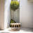 Zaryna Solid Acacia Wood Patio Side Table
