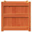 Wooden Kogut Flower Box-404620899-405712117-450382483