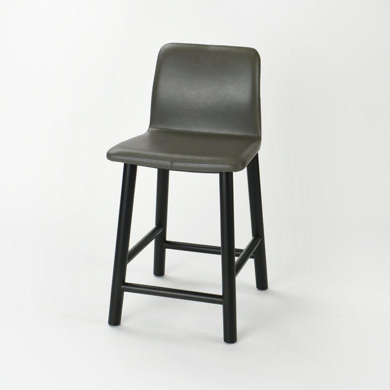 Caileb Counter Stool with Solid Wood Frame